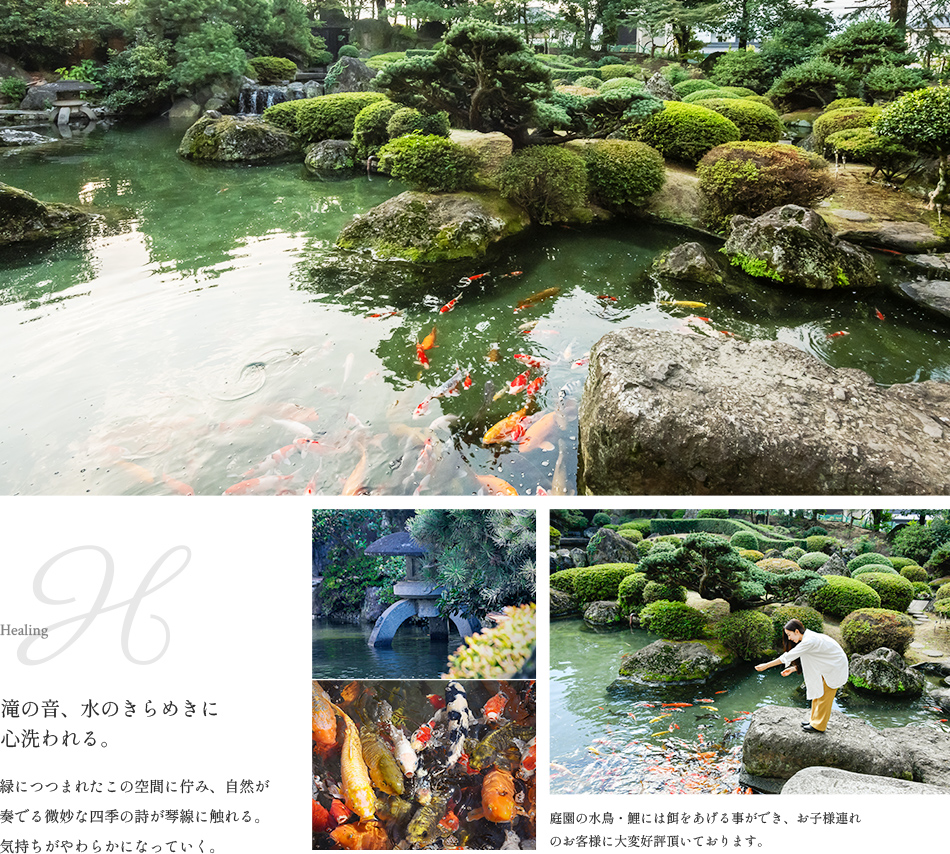 画像：滝の音、水のきらめきに心洗われる。